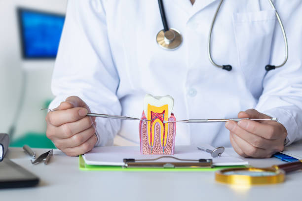Best Emergency Wisdom Teeth Removal in Westerville, OH